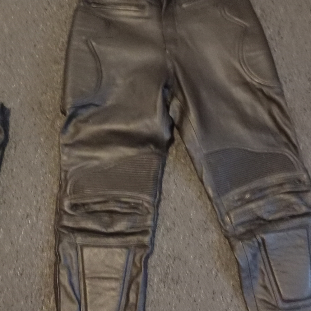 Mens leather biker pantd